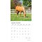 Magnificent Horses | 2026 12 x 24 Inch (Hanging) Monthly Square Wall Calendar | Foil Stamped Cover